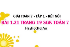 Giải bài 1.21 trang 19 Toán 7 Tập 1 SGK Kết nối tri thức